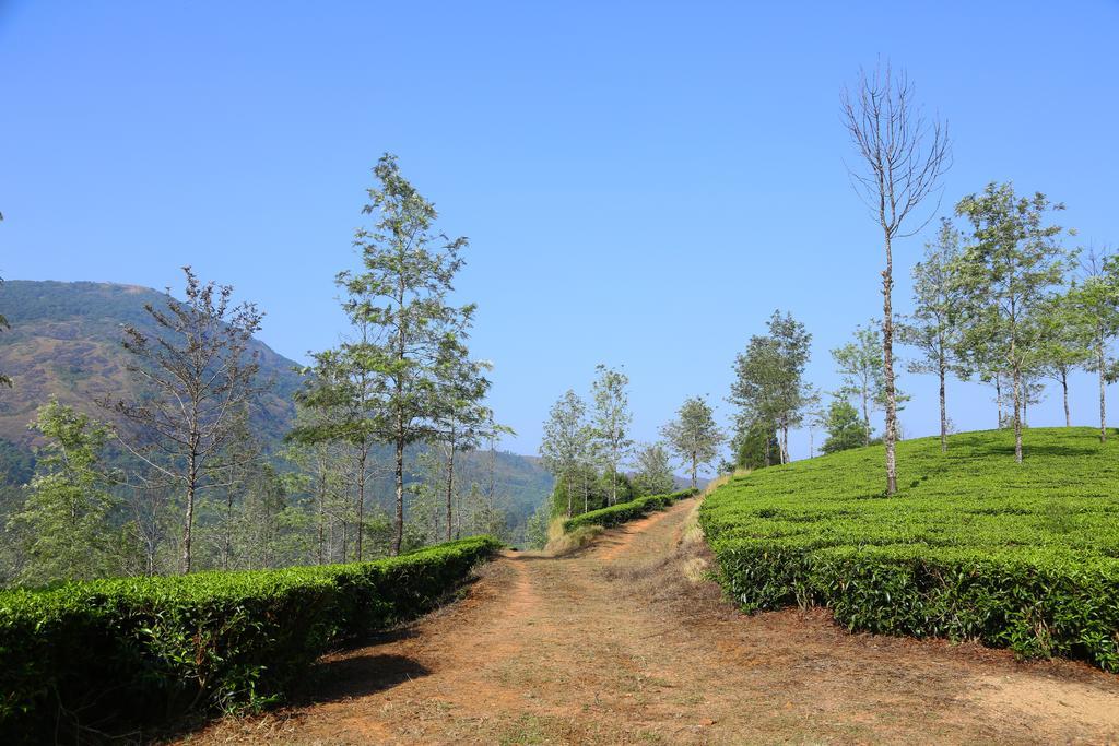 Pavithram Homestay Мунар Екстериор снимка